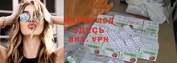 эйфоретик Баксан