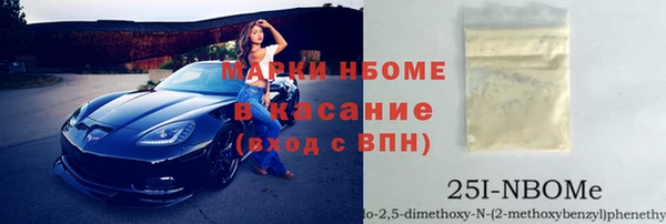 гидра Аркадак