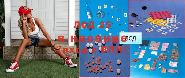 гидра Аркадак