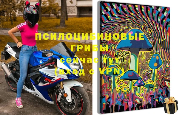 стафф Балабаново